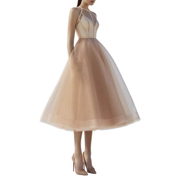 Fit & Flare Tulle Birthday Party Mini Dress 1 Fit & Flare Tulle Birthday Party Mini Dress LuckeLadybug fit and flare tea length tulle dress with sheer strap bodice in nude for birthday party mini dress